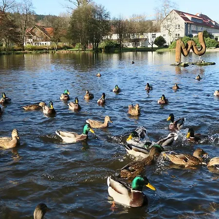 Apartament Harzgenuss *